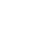 Rönesans Holding